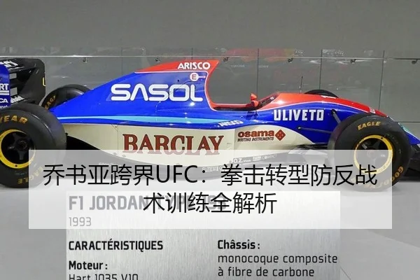 乔书亚跨界UFC：拳击转型防反战术训练全解析