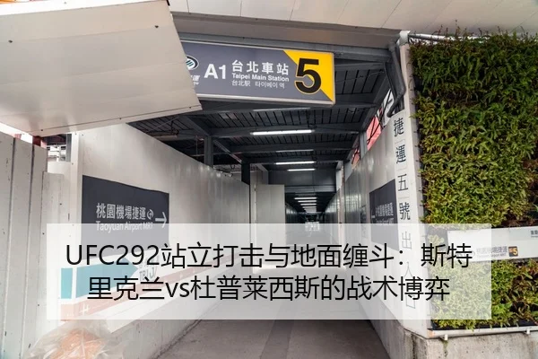 UFC292站立打击与地面缠斗：斯特里克兰vs杜普莱西斯的战术博弈